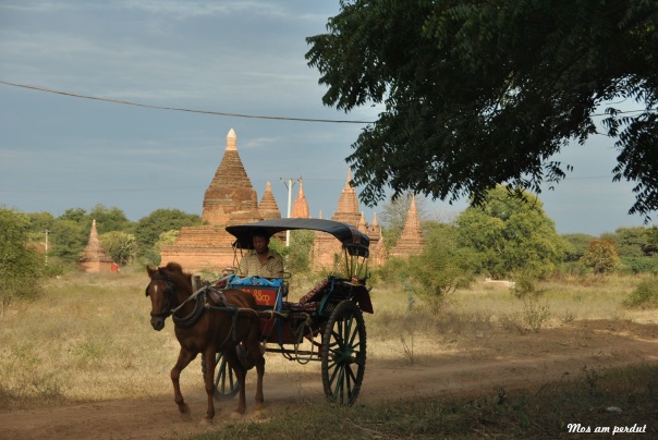 Bagan (118)