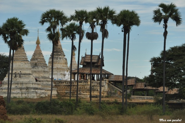 Bagan (158)