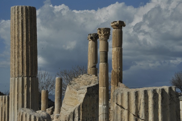 Selçuk i Ephesus (330)