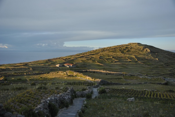 Llac Titicaca (214)